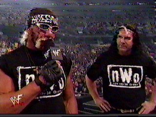nwo9.jpg (24153 bytes)